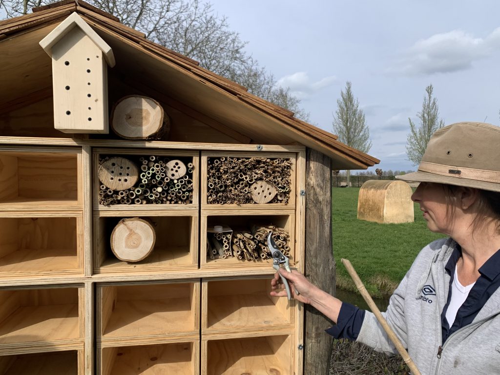 4 Insectenhotel op locatie